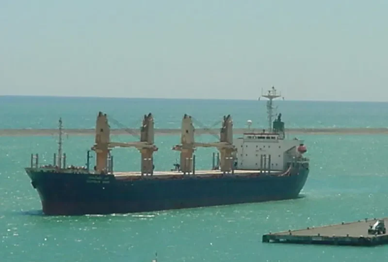PLOYPAILIN NAREE Bulk Carrier IMO 9074717 photo 7