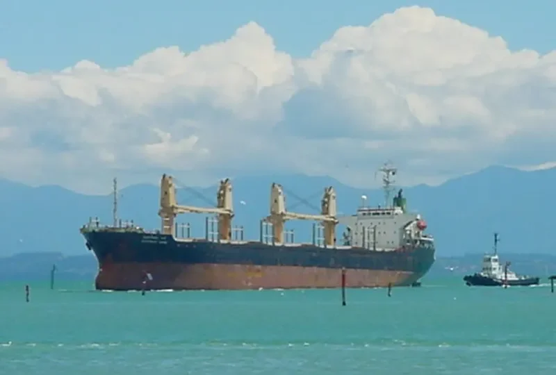 PLOYPAILIN NAREE Bulk Carrier IMO 9074717 photo 9