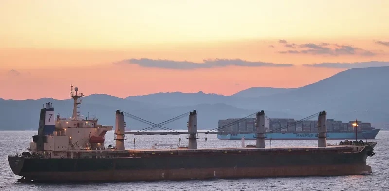 RADIANCE General Cargo IMO 9074743 photo 3