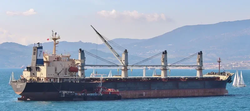 RADIANCE General Cargo IMO 9074743 photo 4