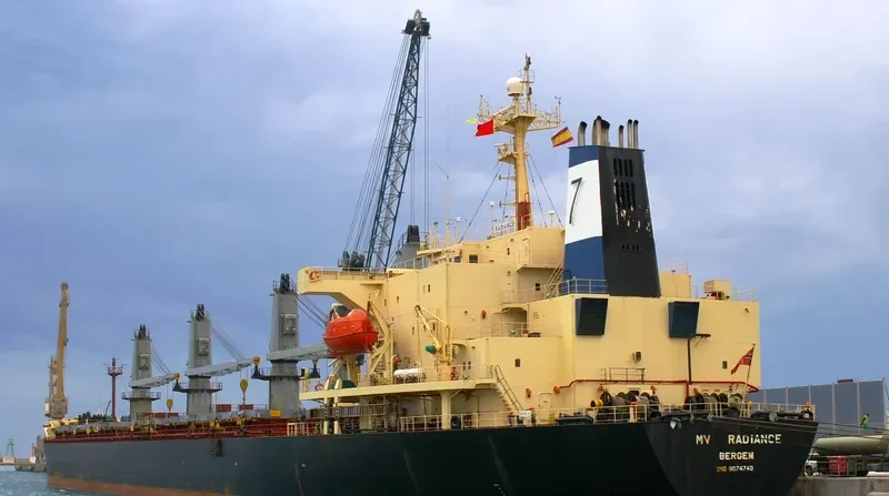 RADIANCE General Cargo IMO 9074743 photo 8