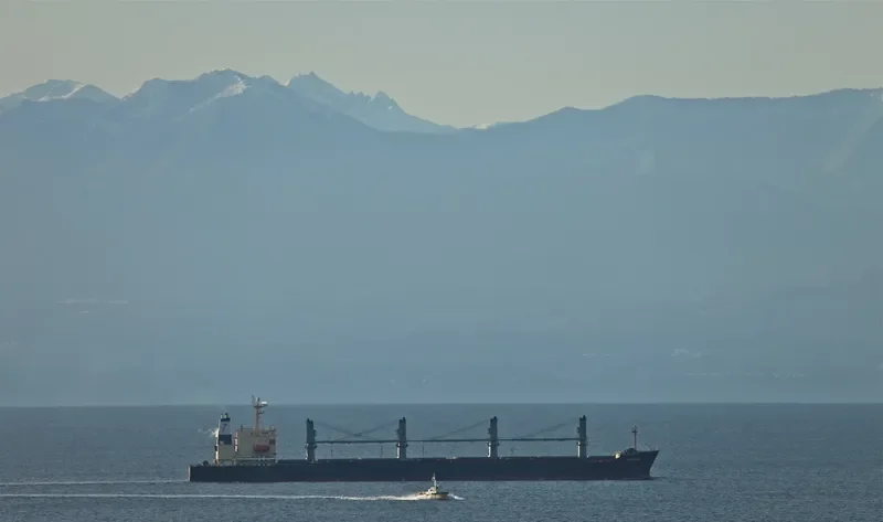 RADIANCE General Cargo IMO 9074743 photo 10