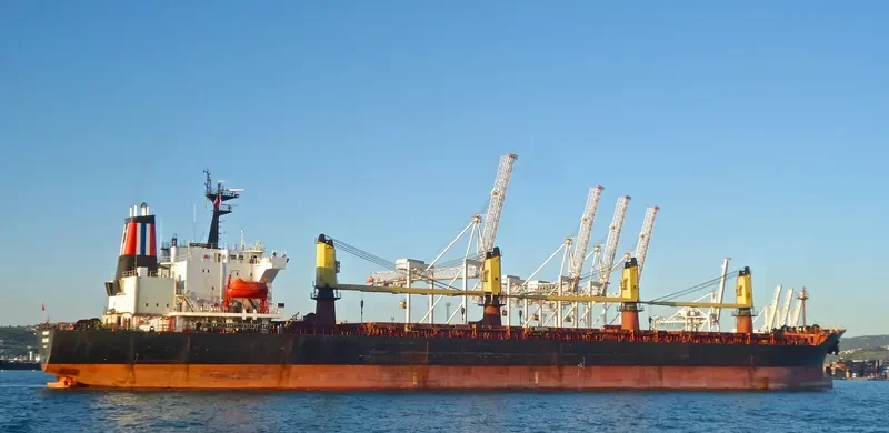 THOR ENERGY Bulk Carrier IMO 9074781 photo 4