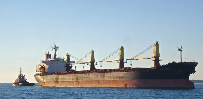THOR ENERGY Bulk Carrier IMO 9074781 photo 5