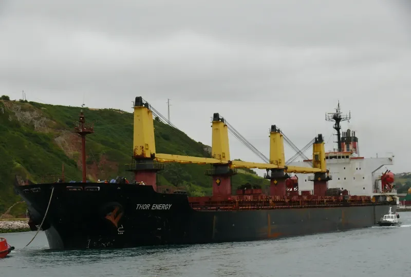 THOR ENERGY Bulk Carrier IMO 9074781 photo 6