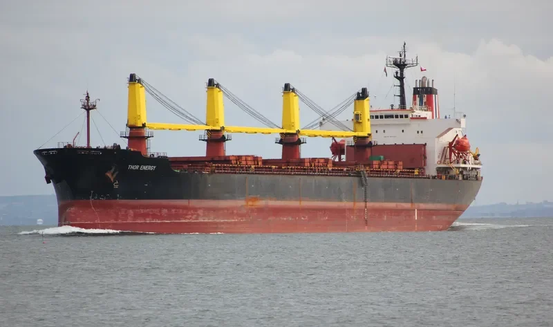 THOR ENERGY Bulk Carrier IMO 9074781 photo 8