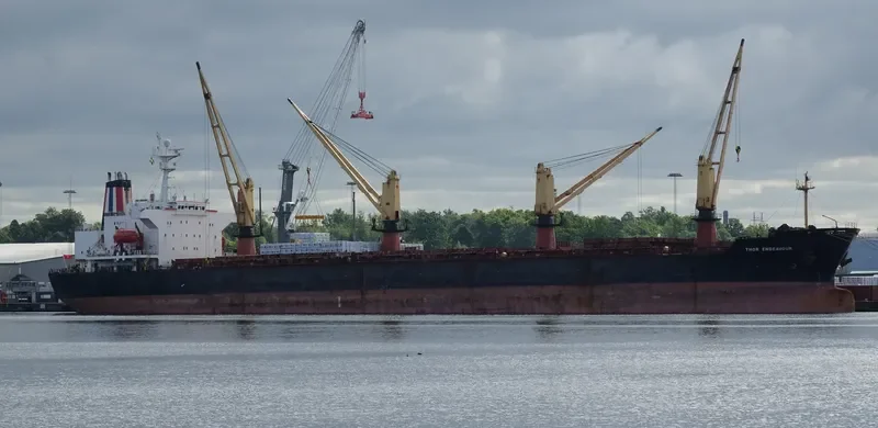 OCEANA SUN Bulk Carrier IMO 9074793 photo 2