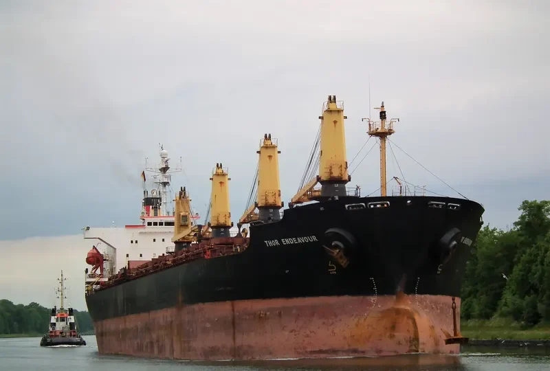 OCEANA SUN Bulk Carrier IMO 9074793 photo 3