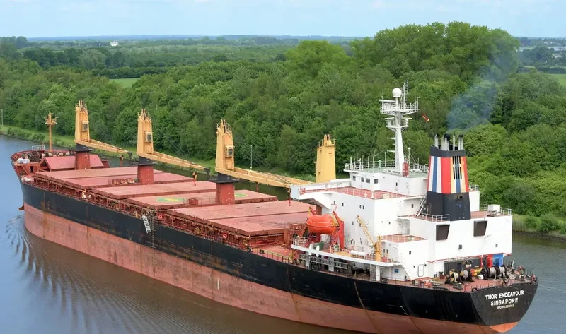 OCEANA SUN Bulk Carrier IMO 9074793 photo 4