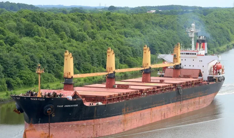 OCEANA SUN Bulk Carrier IMO 9074793 photo 6