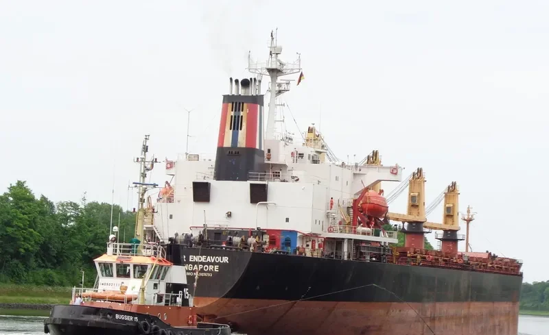 OCEANA SUN Bulk Carrier IMO 9074793 photo 8