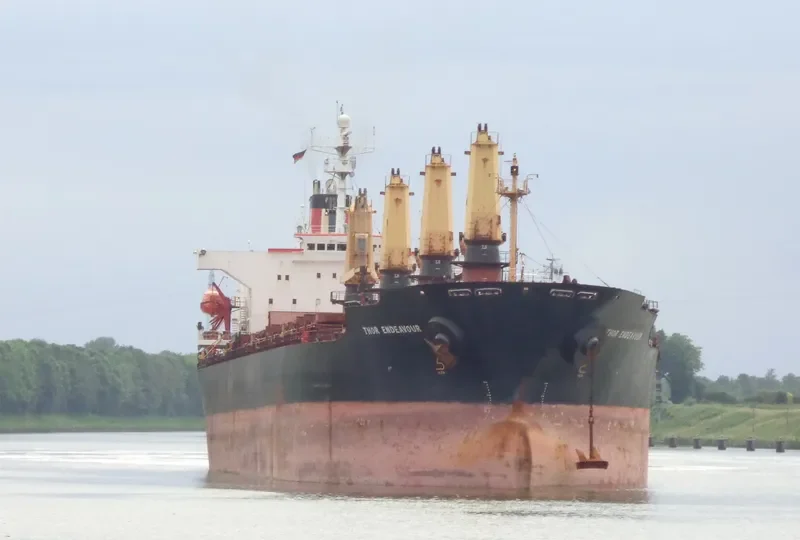 OCEANA SUN Bulk Carrier IMO 9074793 photo 9