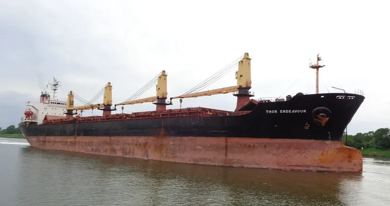 OCEANA SUN Bulk Carrier IMO 9074793 photo 10