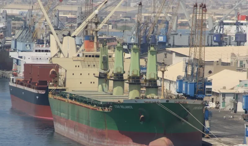 DIAMOND WAY Bulk Carrier IMO 9074808