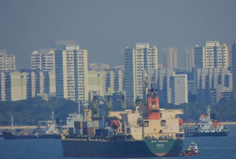DIAMOND WAY Bulk Carrier IMO 9074808 photo 2