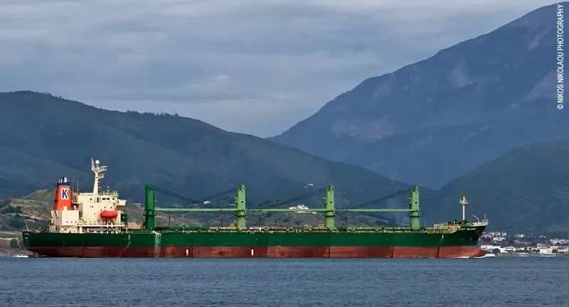 DIAMOND WAY Bulk Carrier IMO 9074808 photo 3