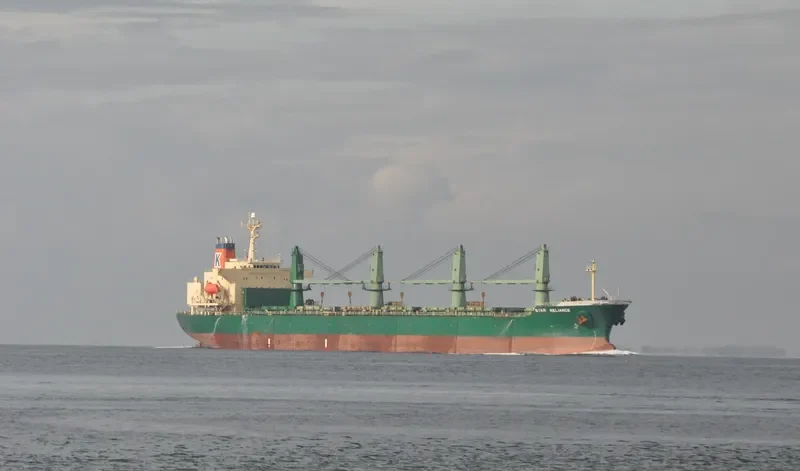 DIAMOND WAY Bulk Carrier IMO 9074808 photo 4