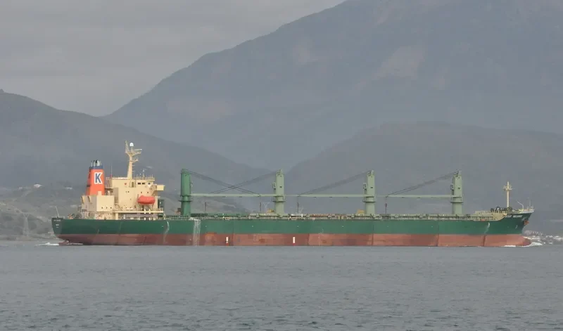 DIAMOND WAY Bulk Carrier IMO 9074808 photo 7