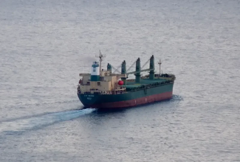 DIAMOND WAY Bulk Carrier IMO 9074808 photo 8