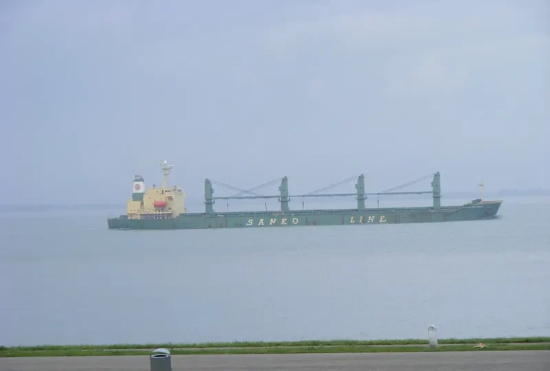 DIAMOND WAY Bulk Carrier IMO 9074808 photo 10