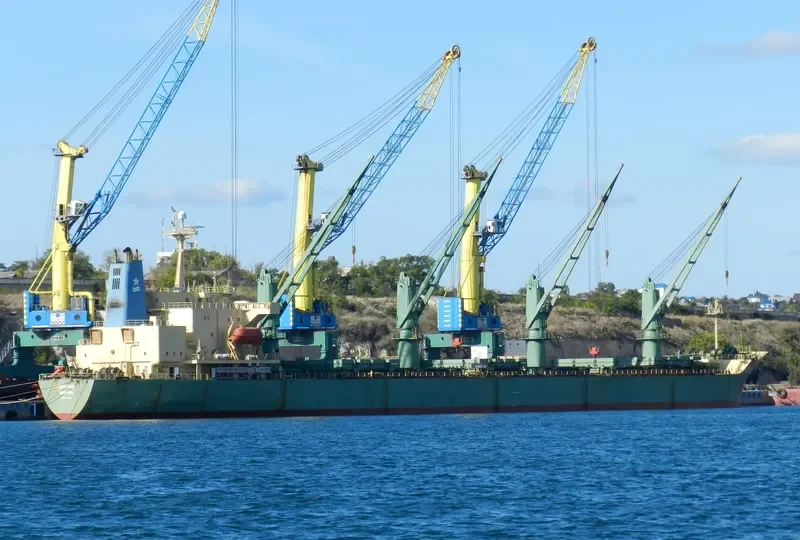 OCEANKING Bulk Carrier IMO 9074834