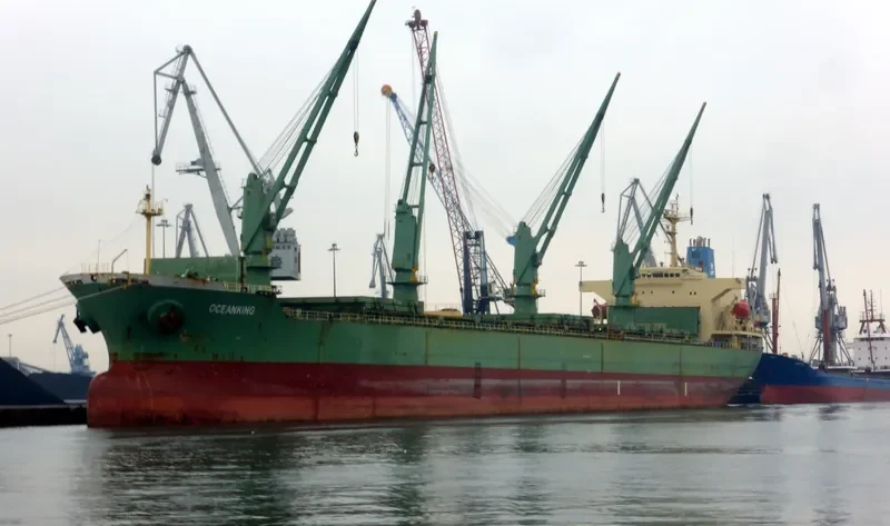 OCEANKING Bulk Carrier IMO 9074834 photo 3