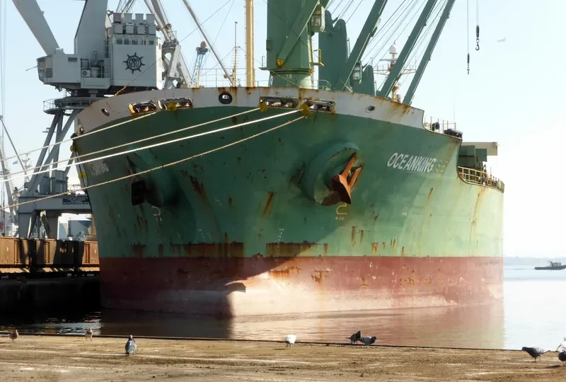 OCEANKING Bulk Carrier IMO 9074834 photo 4