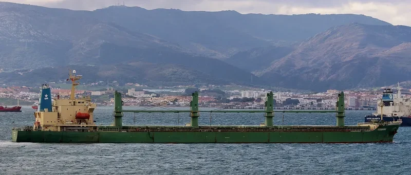 OCEANKING Bulk Carrier IMO 9074834 photo 5