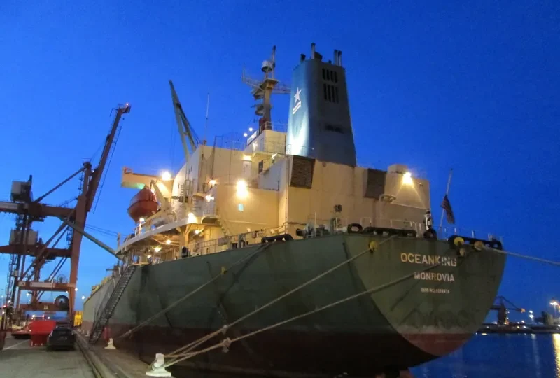OCEANKING Bulk Carrier IMO 9074834 photo 6
