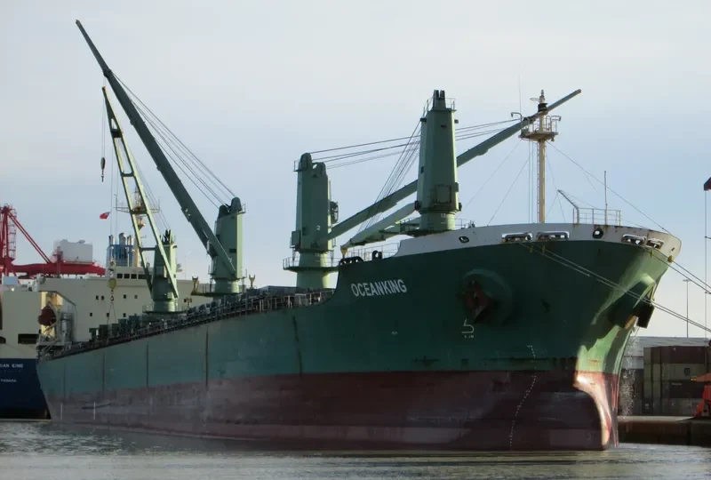 OCEANKING Bulk Carrier IMO 9074834 photo 7