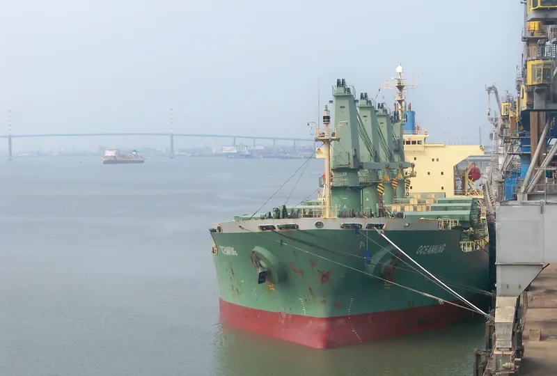 OCEANKING Bulk Carrier IMO 9074834 photo 8