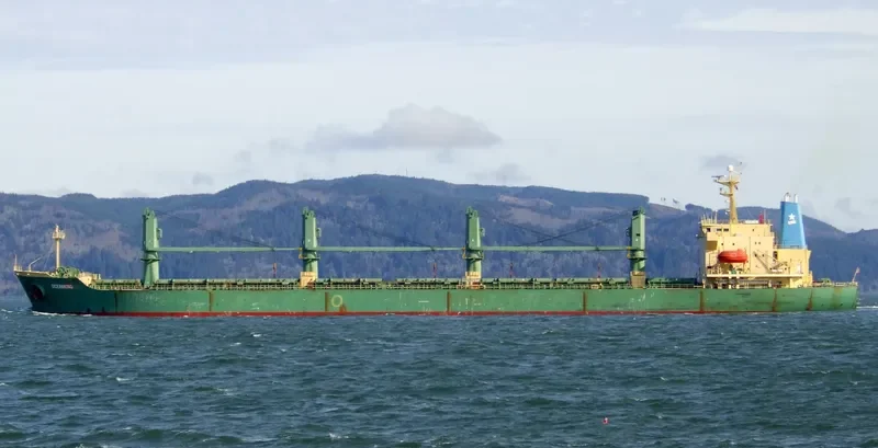 OCEANKING Bulk Carrier IMO 9074834 photo 9