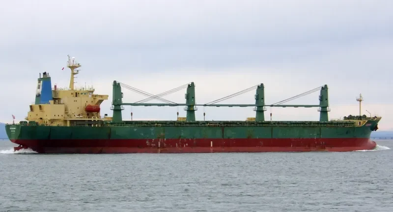 OCEANKING Bulk Carrier IMO 9074834 photo 10