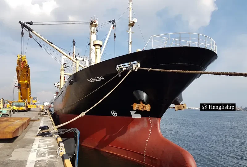 HANGLIMA General Cargo IMO 9074846 photo 2