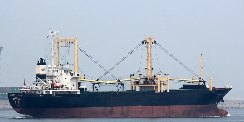 HANGLIMA General Cargo IMO 9074846 photo 4