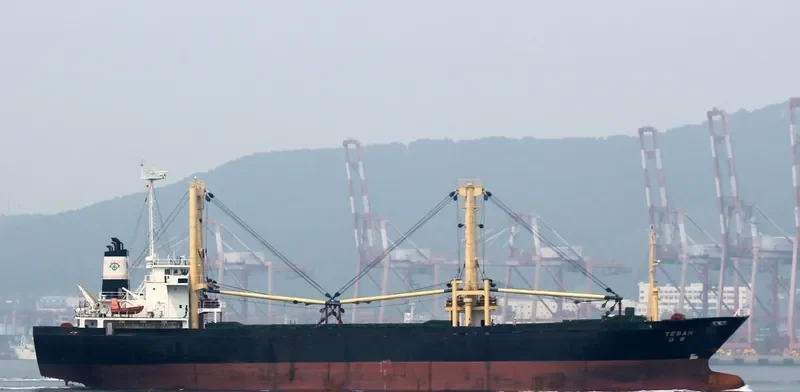 HANGLIMA General Cargo IMO 9074846 photo 6
