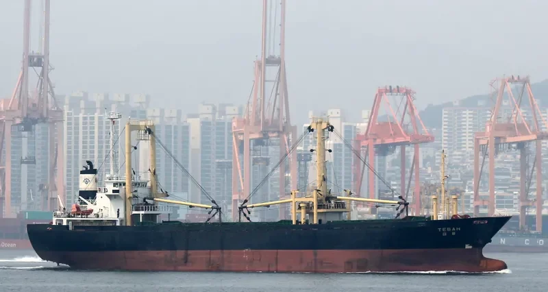 HANGLIMA General Cargo IMO 9074846 photo 7