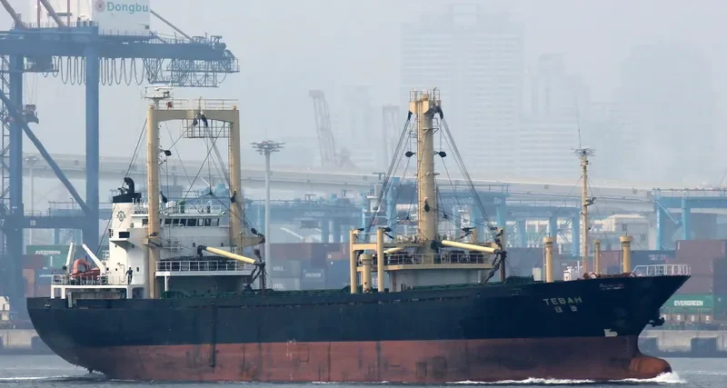 HANGLIMA General Cargo IMO 9074846 photo 8