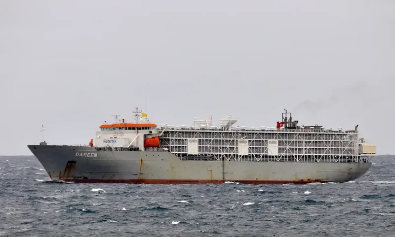 DAREEN General Cargo IMO 9074913 photo 6