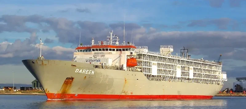 DAREEN General Cargo IMO 9074913 photo 9