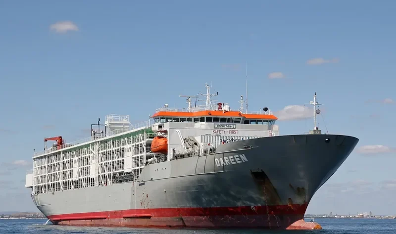 DAREEN General Cargo IMO 9074913 photo 10