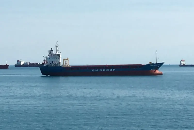 LADY HAYAT General Cargo IMO 9075450 photo 8