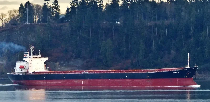 LIAN FU STAR Bulk Carrier IMO 9075539 photo 2