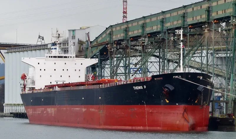 LIAN FU STAR Bulk Carrier IMO 9075539 photo 4
