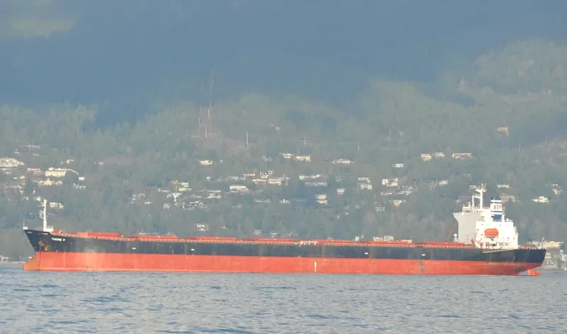 LIAN FU STAR Bulk Carrier IMO 9075539 photo 5