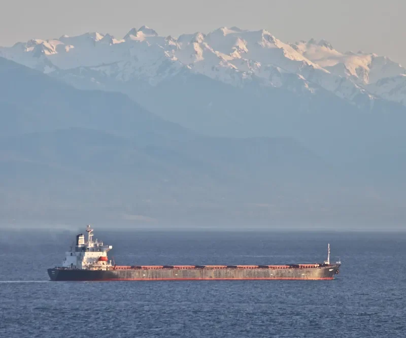 LIAN FU STAR Bulk Carrier IMO 9075539 photo 6