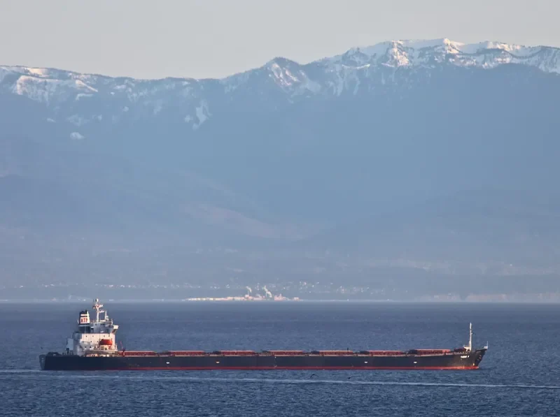 LIAN FU STAR Bulk Carrier IMO 9075539 photo 7