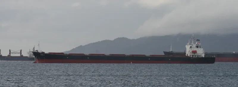 LIAN FU STAR Bulk Carrier IMO 9075539 photo 10