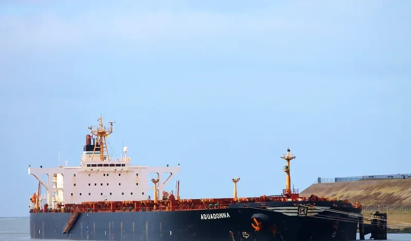 AQUADONNA Bulk Carrier IMO 9075668 photo 4