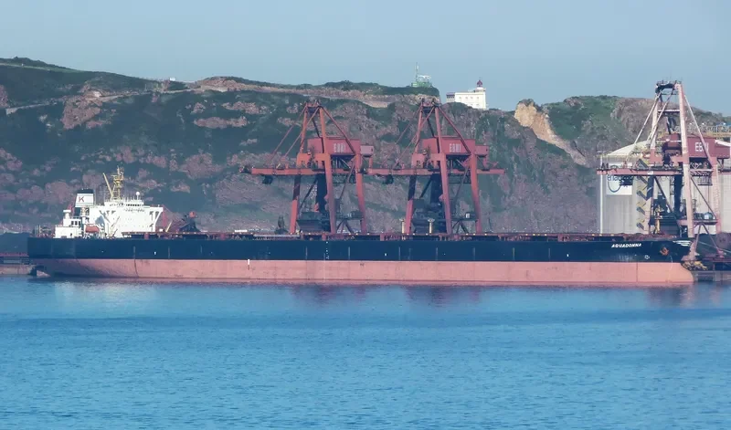 AQUADONNA Bulk Carrier IMO 9075668 photo 10